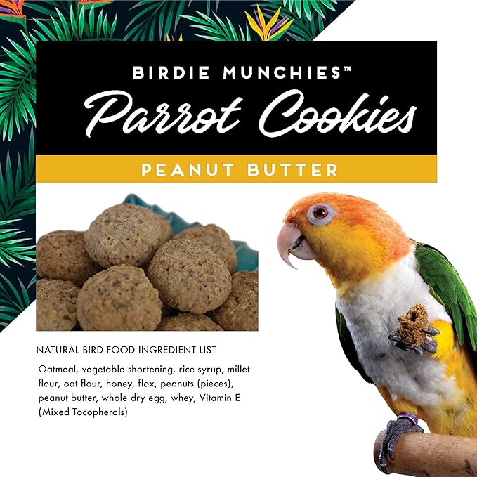 Oven Fresh Bites Natural Baked Treats, All-Natural Bird Treat Parrot Cookies, 4 Oz, Peanut Butter, 3-Pack