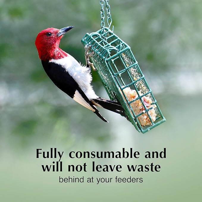 C&S Woodpecker Delight No Melt Suet Dough, Suet Cakes for Wild Birds, 11.75 Ounces, Pack of 8