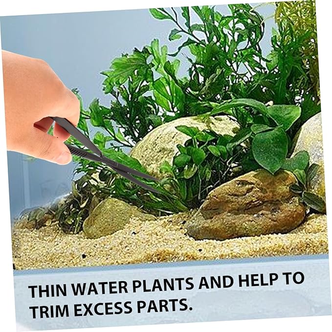 Mipcase 2pcs Home Terrarium Scissors Aquatic Plant Trimmer for Aquariums Resistant Spring Scissors for Easy Plant Maintenance for Tanks