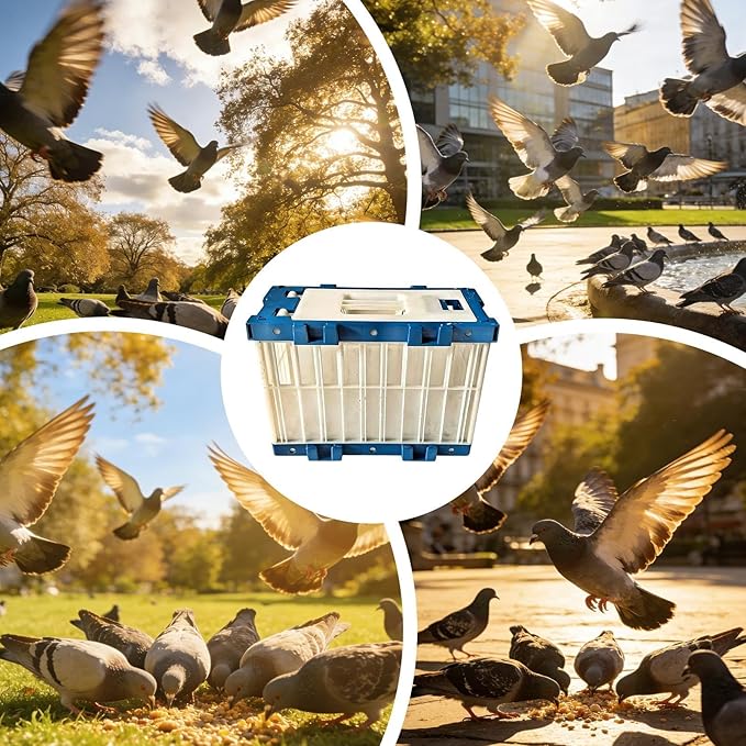 Portable Bird Carrier - Pigeon Cage Lock Device, Breathable Small Transport Crate, Training Release Box with Motion, Carrier Modern Appeal, Bird Accessory for Outdoor, Parakeet, Parrot