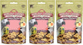 Higgins Worldly Cuisines Spice Market Bird Treat, 2 Ounces (3 Pack)