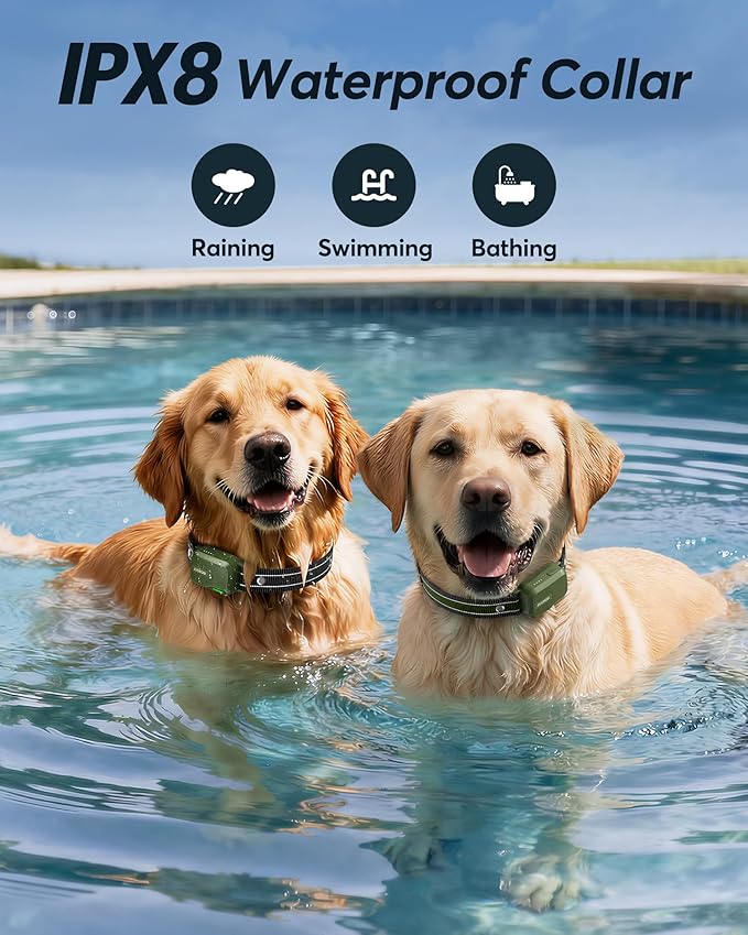 Jugbow Dog Shock Collar - 4200FT Dog Training Collar with Remote, IPX8 Waterproof Electric Dog Collar with 4 Training Modes, Security Lock, Rechargeable eCollar for 10-120lbs Dogs(Green 2 Pack)