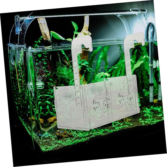 KESYOO Fish Breeding Box Cups Acrylic Isolation Tank for Fish Tank Lightweight and Portable Separator Breeding Accessory