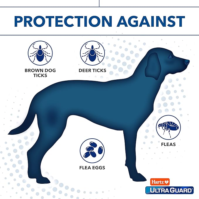 Hartz UltraGuard Dual Action Flea & Tick Topical Dog Treatment and Flea and Tick Prevention, 6 Months, 5-14 Pound Dogs 6-count(Pack of 1)
