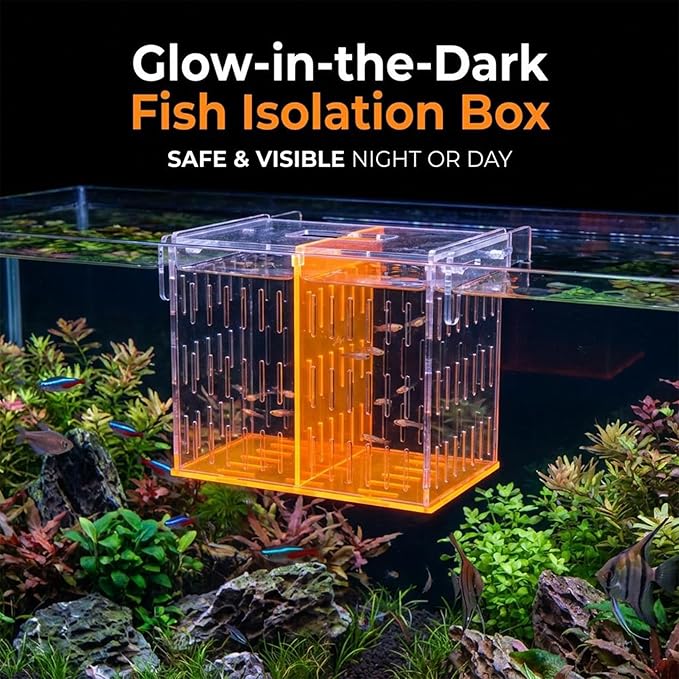 Aquarium Isolation & Acclimation Box, Acrylic Breeder Box with Long Handle Net for Fish Tank - Hatchery Incubator for Shrimp, Betta, Guppy, Baby Fish (Orange, 7.84x5.71x7.87 in)