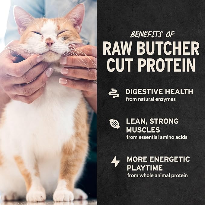 Vital Essentials Freeze Dried Cat Treats | Ahi Tuna Bites, Single Protein | Premium Quality | Grain Free, Crunchy Cat Treats, 1.1 oz Bag