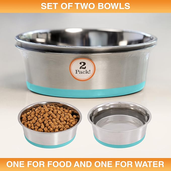 Neater Pet Brands Stainless Steel Dog Bowls with Non-Slip Rubber Bottom – Set of 2, 6 Cup (48 oz), Teal - Heavy Duty Metal Dog Bowl, Dishwasher Safe, Food or Water Bowl, Ideal for Large Dogs