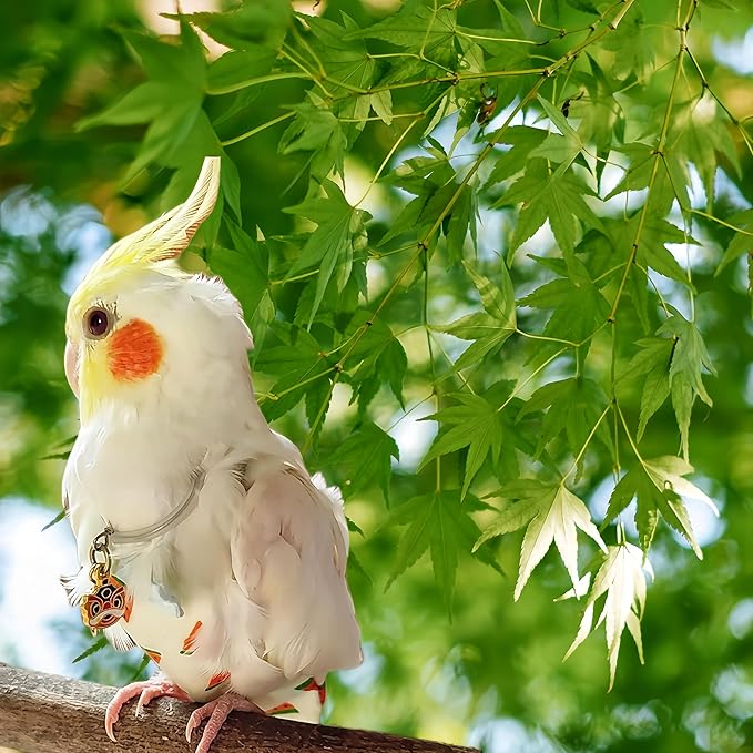 2Pcs Bird Diapers Bird Harness Flight Suits Diapers with 2Pcs 80 Inch Flying Leash Parrot Nappy Pigeon Pants Urine Wet Suit for Cockatiel Conure Macaw Budgies Parakeet-Watermelon&Orange