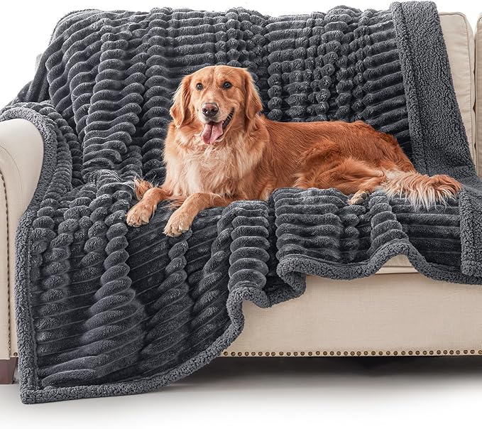 Waterproof Dog Blanket for Large Dogs, Washable Soft Puppy Cat Blanket Flannel Cotton Velour for Sofa Couch Protector, Comfort & Security Reversible Bed Protection for Pet, 50"X60", Gray