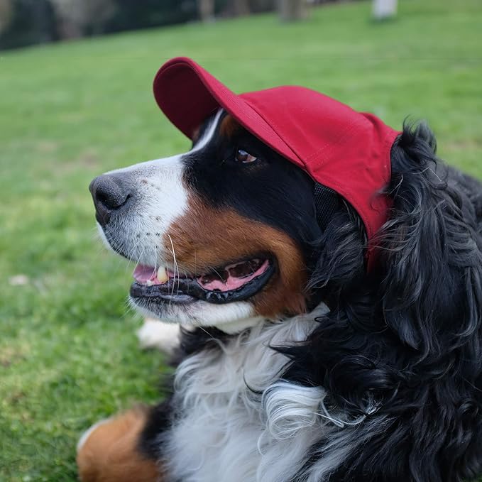 Littlearth NFL Pet Baseball Hat - Officially Licensed Teams, Sizes: XS - XL