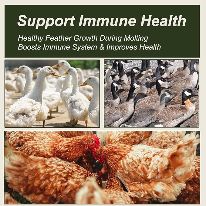 Adaman Dried Mealworms -5 LBS- 100% Natural High Protein Mealworms - Bulk Meal Worms for Blue Birds, Chickens, Ducks - Best Chicken Treats, Bird Food, Turtle Food