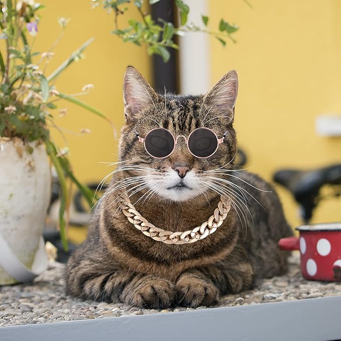 Cat Sunglasses Gold Chain Costume Decorations UV Protection Classic Retro Puppy Retro Sunglasses Faux Photo Props