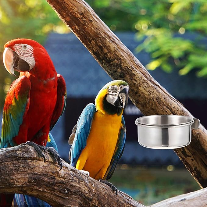 Yardwe Stainless Steel Bird Food Cup 2-Pack Small Cage Feeders with Clamp for Parrots Budgies Cockatiels Durable Bird Food Bowls for Easy Feeding