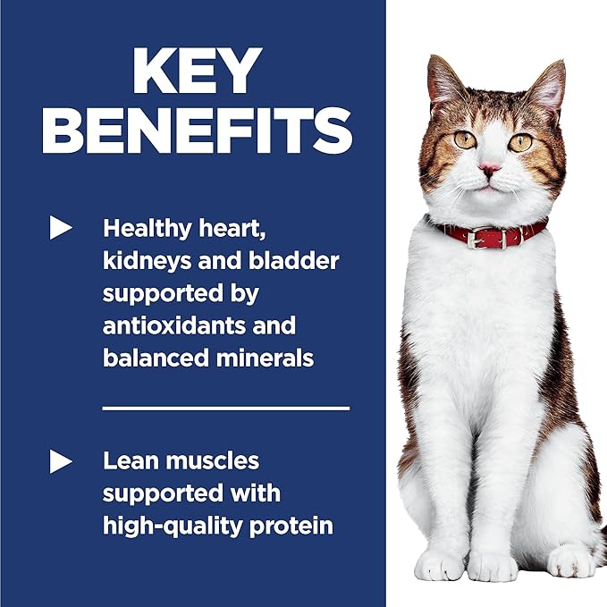 Hill's Science Diet Adult 7+, Senior Adult 7+ Premium Nutrition, Dry Cat Food, Chicken Recipe, 4 lb Bag