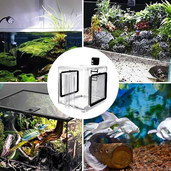 Aquarium Nursery Cage, Water Tank Breeding Container, Fish Separation Tray, Hatchery Incubator Accessory, Shrimp and Guppy Grow Box, Saltwater Isolation Basket for Small Fish and Crustaceans