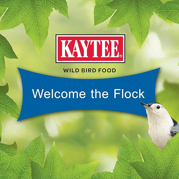 Kaytee Wild Bird Gourmet Seed Cake for Cardinals, Chickadees, Juncos, Titmice, Woodpeckers and More, 2 Pounds, 4 Count