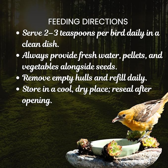 Danodia's Zoolulu Premium Budgies & Finches Millet Mix (950g /2 lbs) | Premium Bird Seed Blend for Budgies, Finches & Canaries | Daily Healthy Nutrition