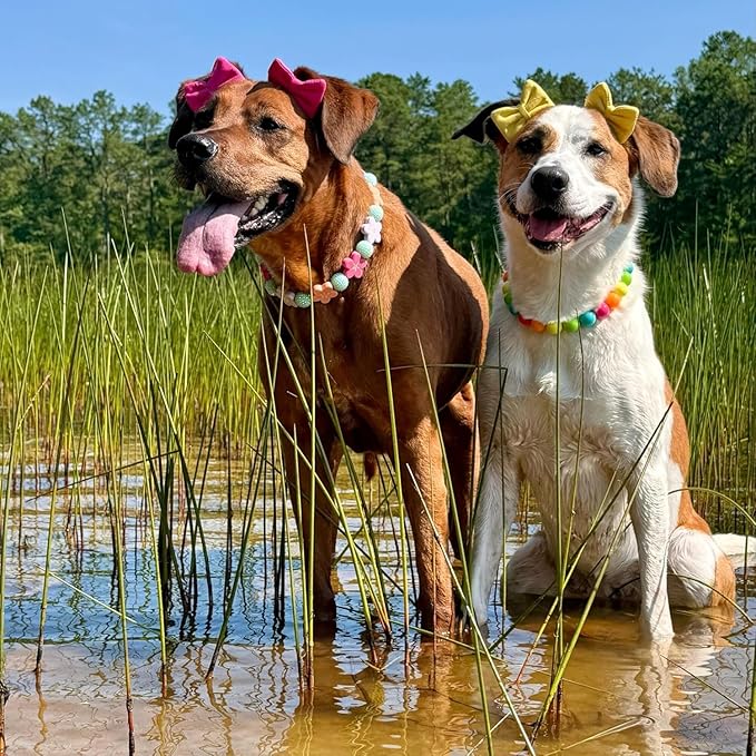 Dog Hair Double Bow Headbands 3 Pcs – Bow Headband for Dogs, Dog Hair Bow,Classic Dog Hair Bows, Adjustable Headband, Puppy Bow, Pet Hair Bow, Dog Grooming Accessory
