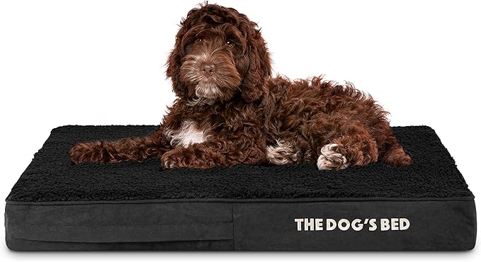 The Dog’s Bed Orthopedic Memory Foam Dog Bed Mattress, Plush Fabric, Grey with Blue Trim, Medium, 4-Inch