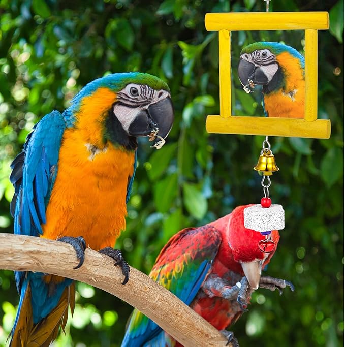 Chicken Toys - 1pc Hanging Bell Parrot Chicken Swing Mirror + 2pcs Beak Grinding Stones for Enrichment, Perfect for Coop, Birds, Parrots, Hens, Roosters, and More