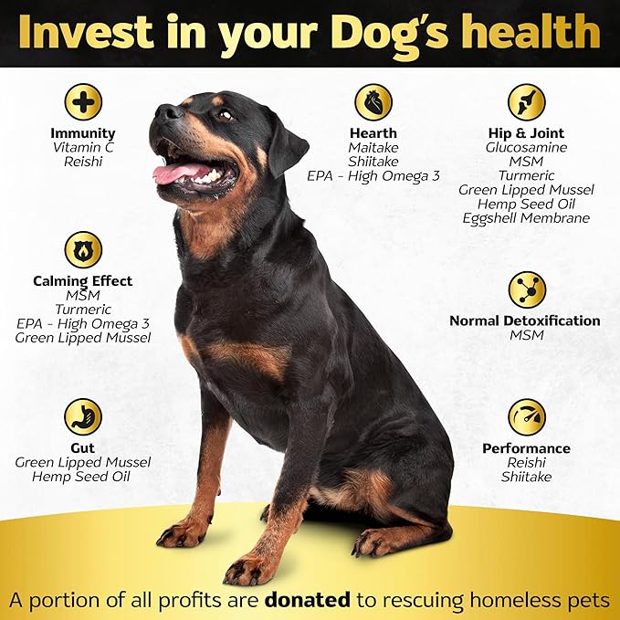 Soft Chews Hip and Joint Supplement for Dogs - Dog Joint Pain Relief Treats - Glucosamine, Chondroitin, Turmeric - Mobility Bites Supplement