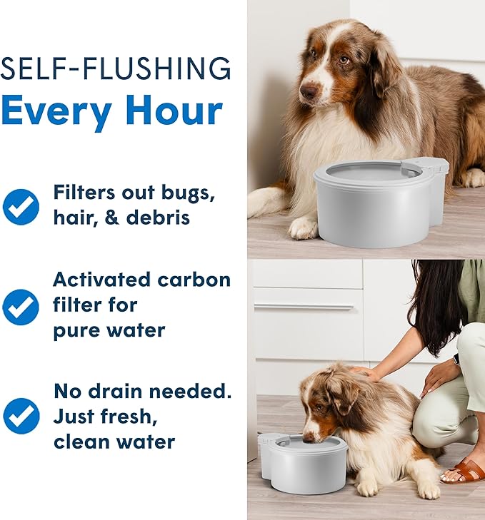 Always Full® 9” Dog Water Bowl and Bottle Pump Bundle, Self Refilling with Clean Filtered Water, App-Enabled Smart Hydration Monitoring, Upgradeable System for Dogs and Cats