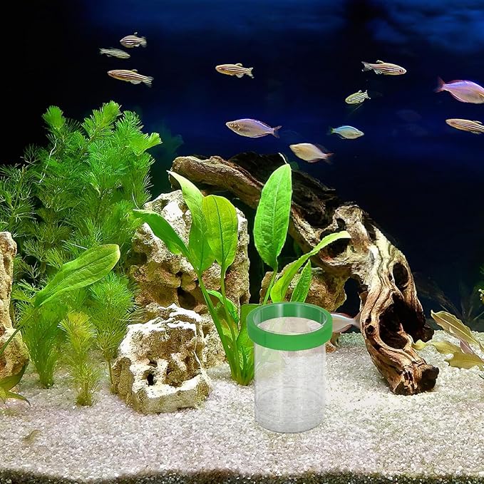 Aquarium Fish Breeding Box Floating Isolation Chamber with Divider and Egg Net Small Hatchery Incubator for Guppy