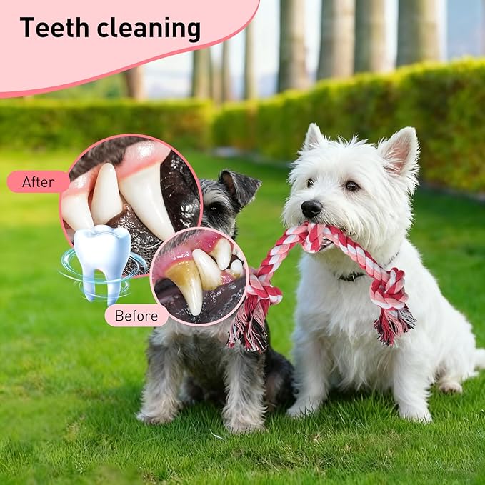 SZEE 2Pcs Dog Rope Toys for Small Breeds, 14 in 3 Knots Chew Rope Toy for Dogs, Pull Toy for Tug of War, Energy Release, Boredom Relief and Teeth Cleaning (Pink & Orange)