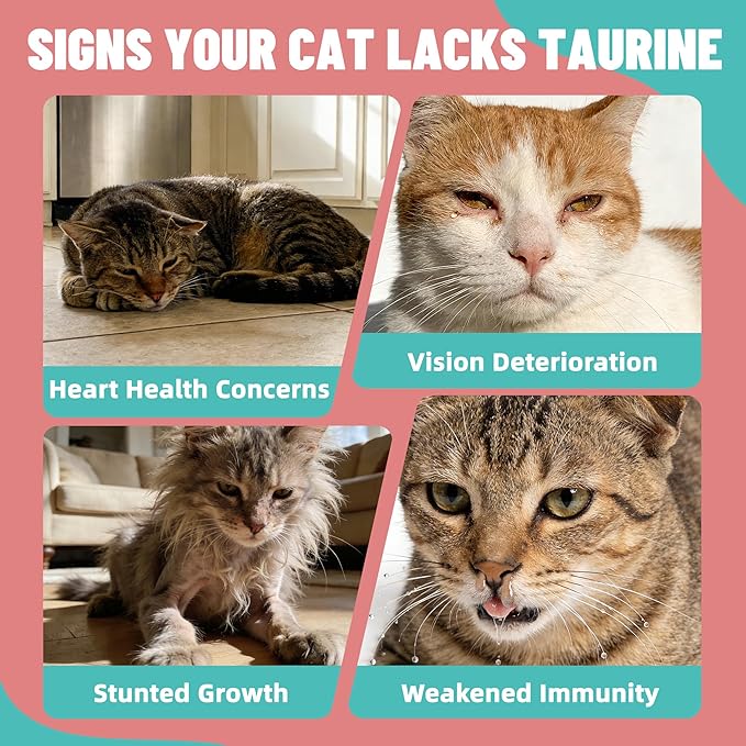 Just Try 3.38 fl oz Taurine Supplement & L-Lysine for Cats Feline Heart Health Immune Support - Sneezing, Runny Nose and Watery Eyes - Chicken Flavor 100ml