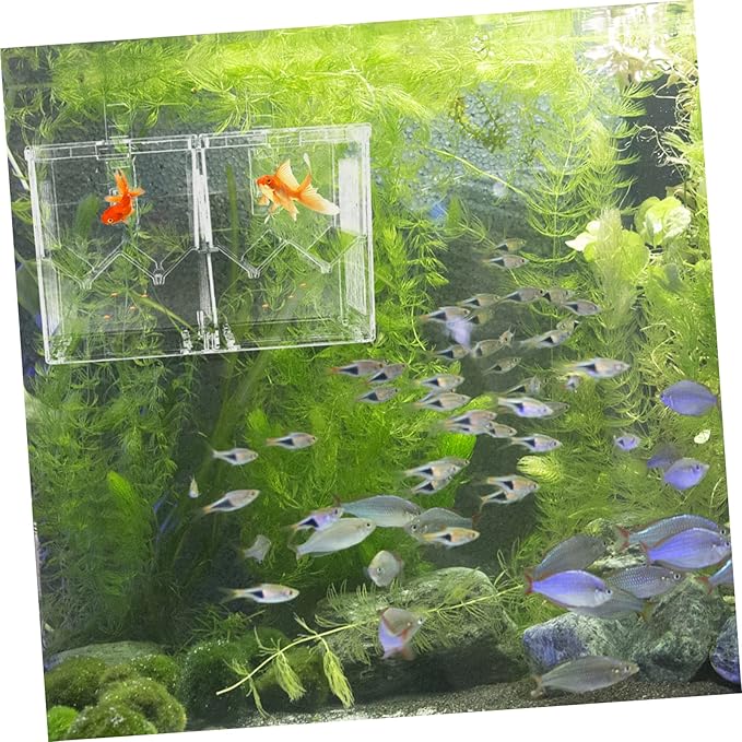 Happyyami 1pc Aquarium Dual Isolation Box Fish Breeding Box for Fish Hatching Incubator for Guppies and Shrimp Easy to Install Plastic Structure