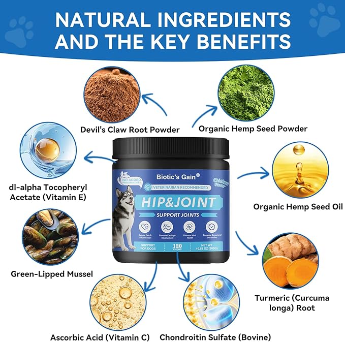 Biotic’s Gain Hip & Joint Soft Chews for Dogs | Glucosamine, MSM, Chondroitin & Turmeric | Hemp Seed Oil for Mobility | Tasty Chews for Senior & Active Dogs (120, Hip & Joint Care)