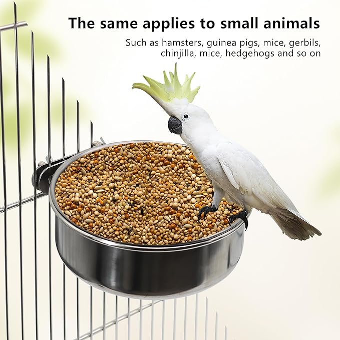 2 Pcs Medium Bird Feeding Dish Cups,Parrot Food Bowl Cage with Clamp Holder Stainless Steel,Birdcage Coop Water Feeder for Cockatiel Parakeet Macaw Finches Lovebirds Small Animals (2 Pack, M)