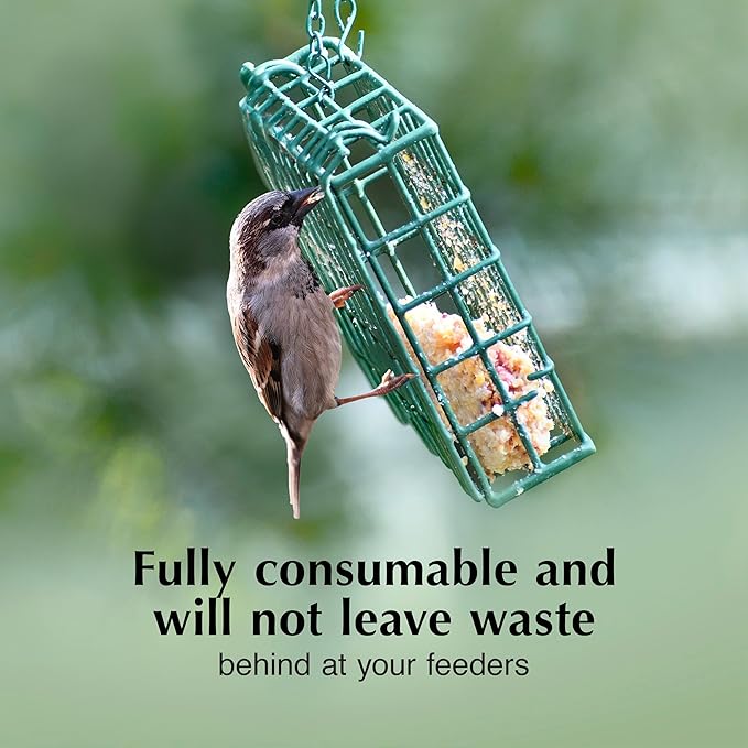 C&S Insect Delight No Melt Suet Dough, Suet Cakes for Wild Birds, 11.75 Ounces, 8 Pack