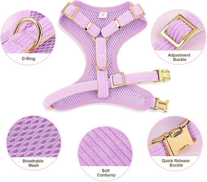 Didog Cute Small Dog Harness Collar and Leash Set with Bowtie, Breathable Soft Mesh Padded Puppy Harness, Dog Harness for Small Dogs Daily Walks Parties, Holiday Gatherings & Gifts, Purple, M