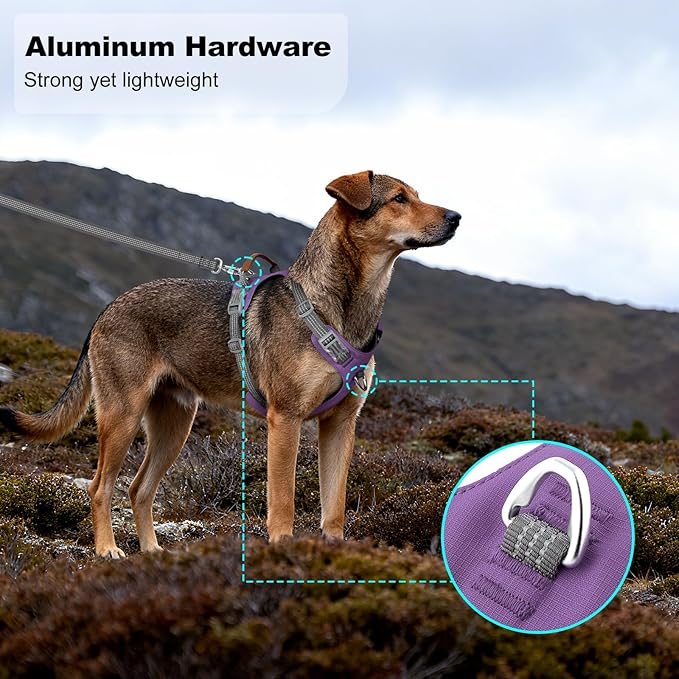 No Pull Dog Harness – Adjustable Reflective Nylon Vest for Small Medium Large Dogs, Escape Proof Training Harness with Leather Control Handle, Lightweight Aluminum Hardware (Purple, L)