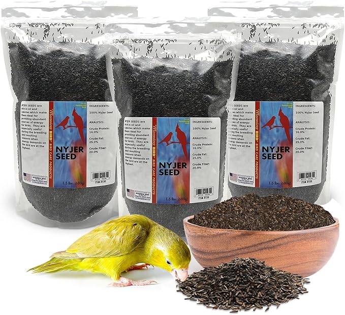 Morning Bird Nyjer Seed for Birds 4.5 lbs (3-Pack, 1.5 lbs Each) – Rich in Natural Healthy Fats – Ideal for Breeding & Molting – Premium Bird Food for Canaries and Other Seed-Eating Birds