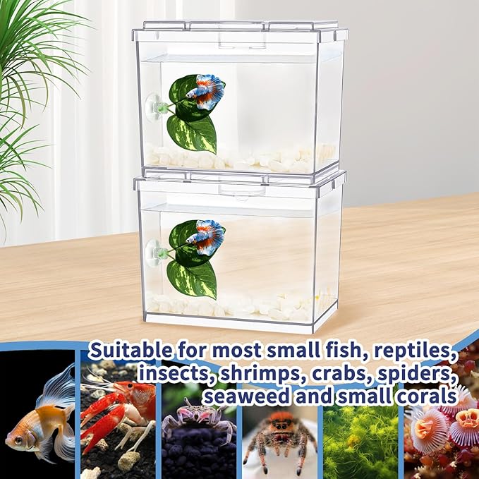Mini Betta Fish Tank, Small Fish Bowl for Temporary Space, 0.2 Gallon Stackable Cube Tank with Betta Leaf and Gravels for Small Fish, Insect, Shrimp, Crab, Spider.(Pack-2)