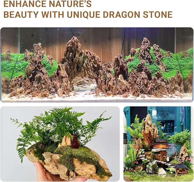 Aquariums Stones Natural Rocks 3lb Aquarium Rock for Fish Tank Aquascaping,Aquariums,Terrariums,Vivariums,Decorative Stone,Reptile Enclosures,Paludariums,and Gardens-（2-5 Inch）