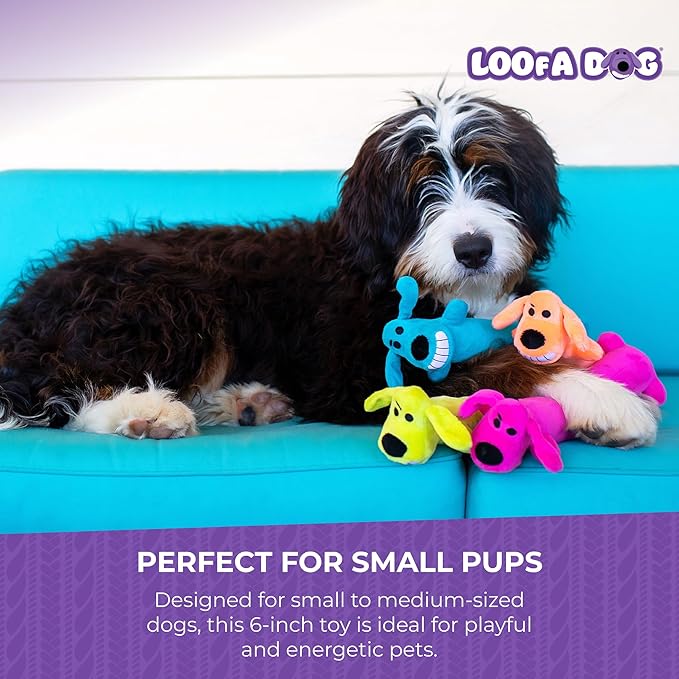 Multipet Original Loofa Dog Plush Toy - Squeaky Toy for All Dogs - Extra Soft Plush - Stuffed Animal Dog Toys for Playing (1 Count, 6”, Random Color Surprise)