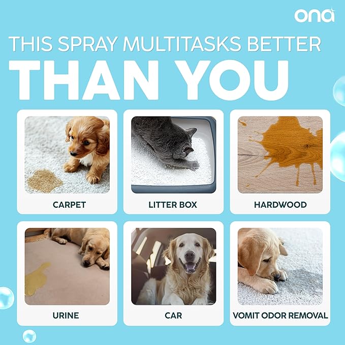 ONA Pet Stain & Odor Eliminator Enzyme Cleaner Spray - Dog & Cat Urine Remover & Deodorizer for Home, Carpet, Furniture & Hardwood Floor - Professional Strength Pet Urine Stain Remover (16oz)