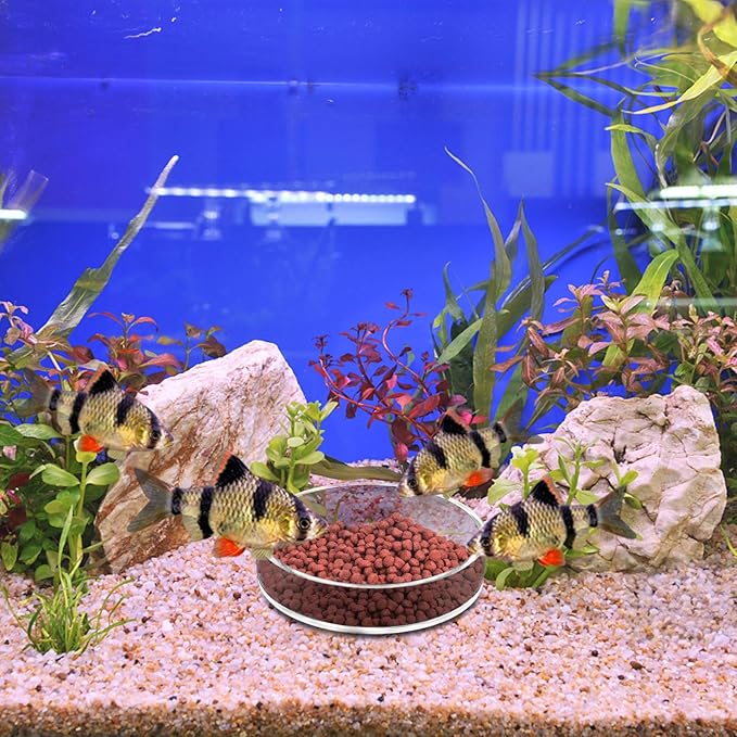 Aquarium Shrimp Feeder Dish Round Clear Fish Tank Feeding Dish Bowls (85mm)