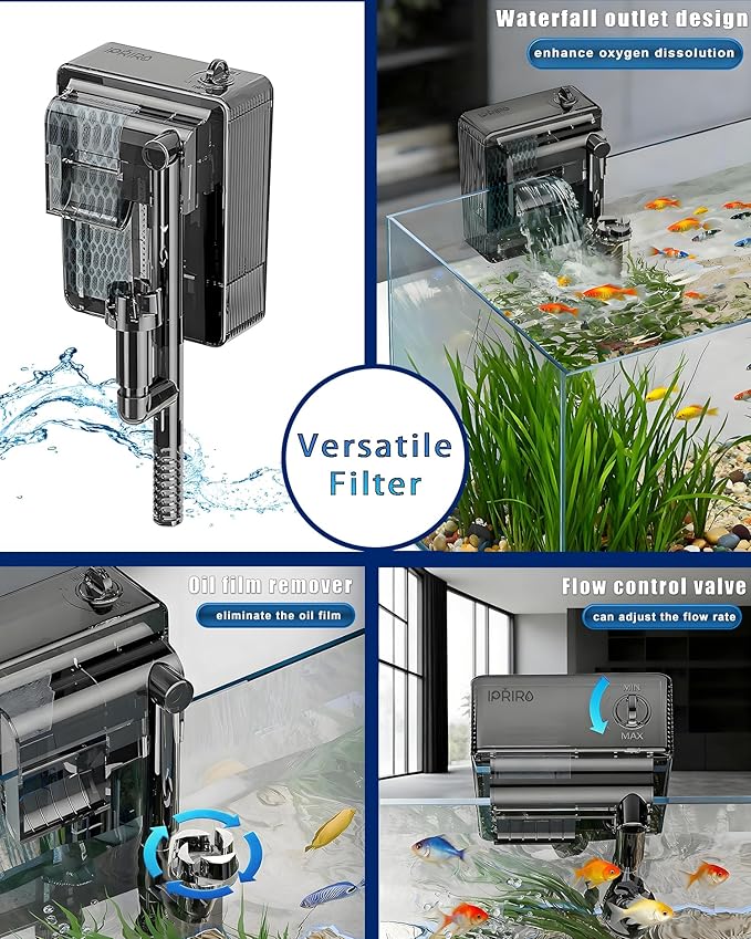 Fish Tank, 3 Gallon Ultra-Clear Glass Fish Aquarium, with Separator Plate for Betta, Fish Tank Starter kit with Filter and Led Light, Black