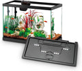 Aqueon Aquarium Starter Kit with Smart Clean Filtration and LED Lighting, Freshwater and Saltwater Fish, 20-Gallon