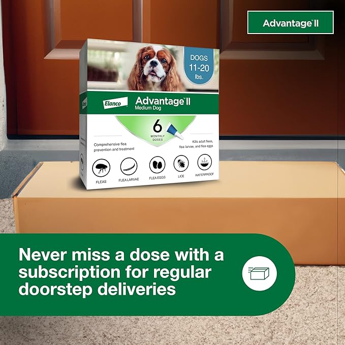 Advantage II Medium Dog, 6 pack