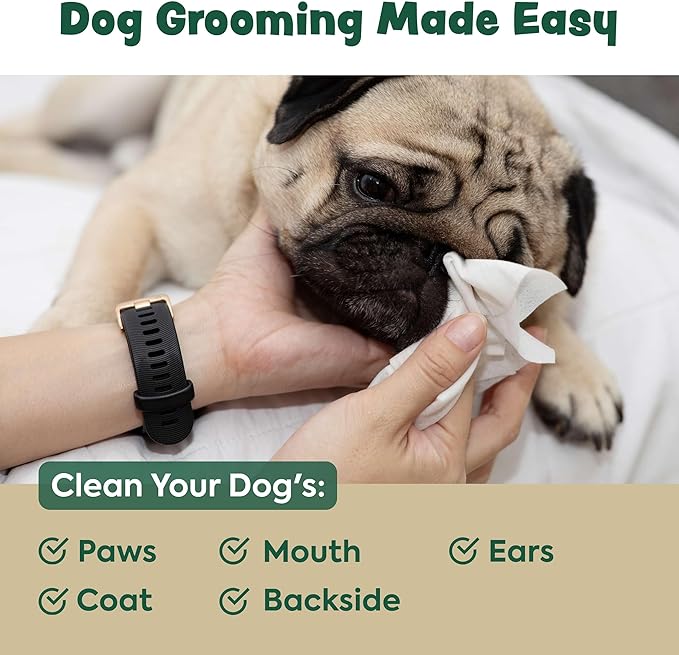 Bark & Clean Dog Wipes for Cleaning and Deodorizing - 2 Pack of 110 8.5" x 9" Bamboo Pet Wipes - Compostable, Hypoallergenic Puppy Wipes - Dog Wipes for Paws, Butt, and Body