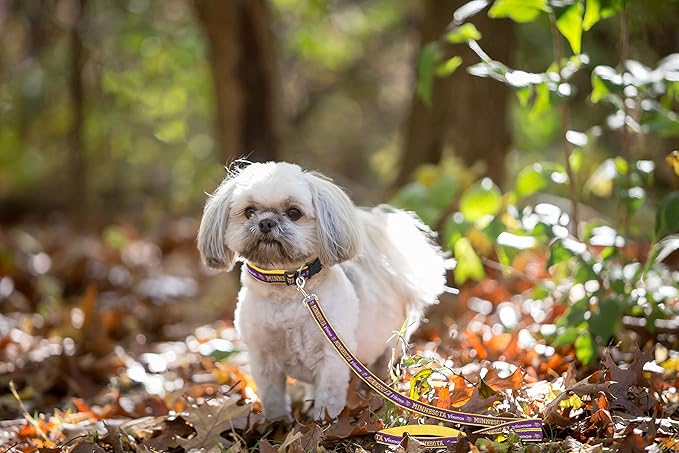 Pets First NFL Licensed Minnesota Vikings Pet Leash, Size Small – Durable Satin Dog & Cat Walking Strap and Pet Tether with Embroidered Team Name & Logo