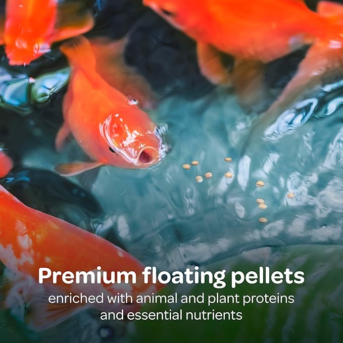 Kaytee Koi’s Choice Koi Floating Fish Food, For Koi, Goldfish and Pond Fish, 3 pounds