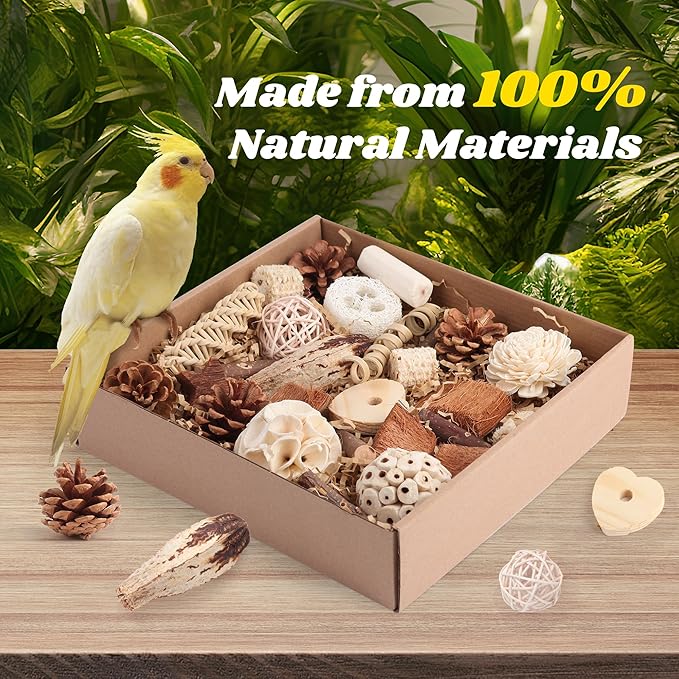 Bird Toys for Parakeets, Natural Cockatiel Foraging Toy Box for Parrots, Conures, Budgies, Macaws, Lovebirds, and Other Small to Medium Birds