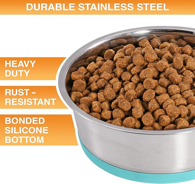 Neater Pet Brands Stainless Steel Dog Bowls with Non-Slip Rubber Bottom – 2 Cup (16 oz), Teal - Set of 2 Heavy Duty Metal Dog Bowls, Dishwasher Safe, Food or Water Bowl, Ideal for Small Dogs & Cats