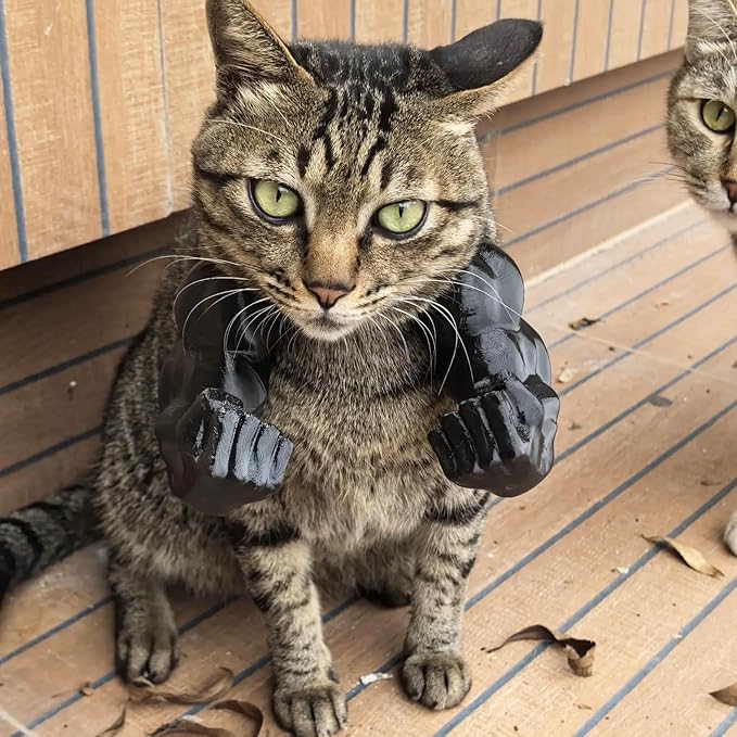 3D Printed Cat Muscle Arms, Halloween Cat Costume Accessory Neck Arms for Pet Cosplay, Lightweight Muscular Arms for Cats Birthday Party Supplie, Halloween Unique Costume Prop for Pets (Black)